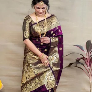 Nisha saree5