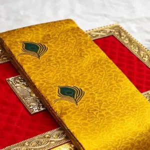 Nisha saree 1